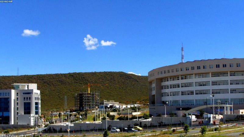 糖心vlog 团队在城市光影中拍摄甜系短视频的现场